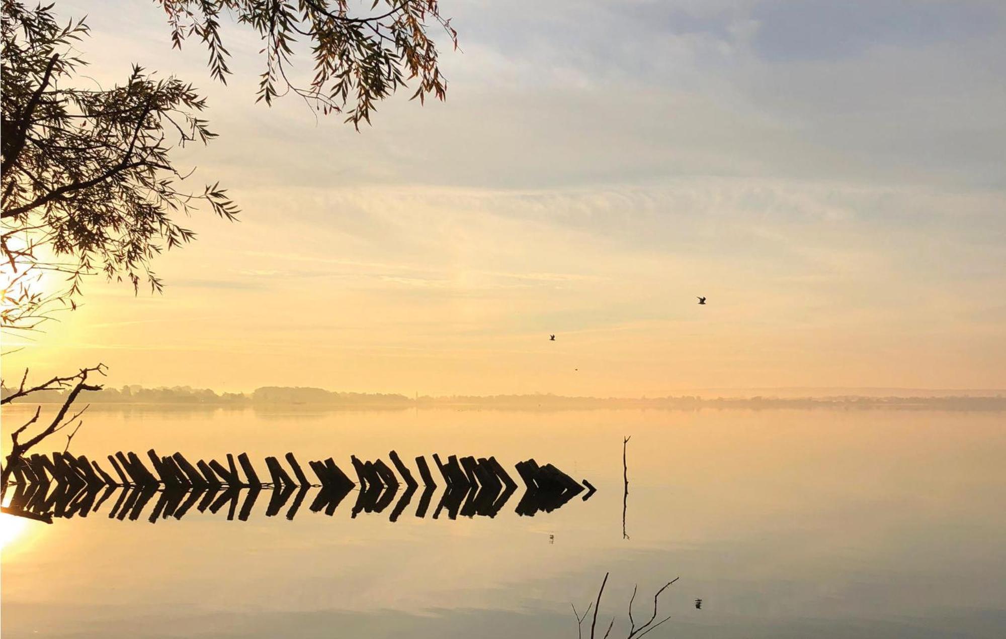 Nice Home In Lembruch-Duemmer See With Sauna Экстерьер фото